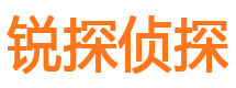 向阳市调查公司